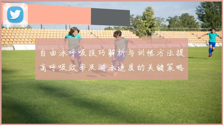 自由泳呼吸技巧解析与训练方法提高呼吸效率及游泳速度的关键策略