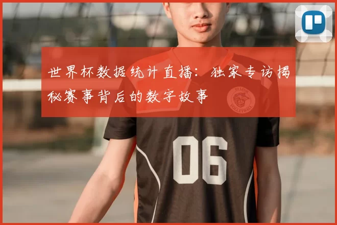 世界杯数据统计直播：独家专访揭秘赛事背后的数字故事