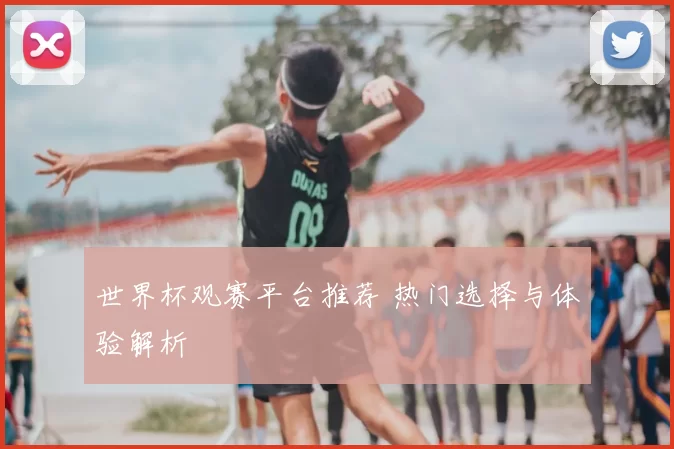 世界杯观赛平台推荐 热门选择与体验解析