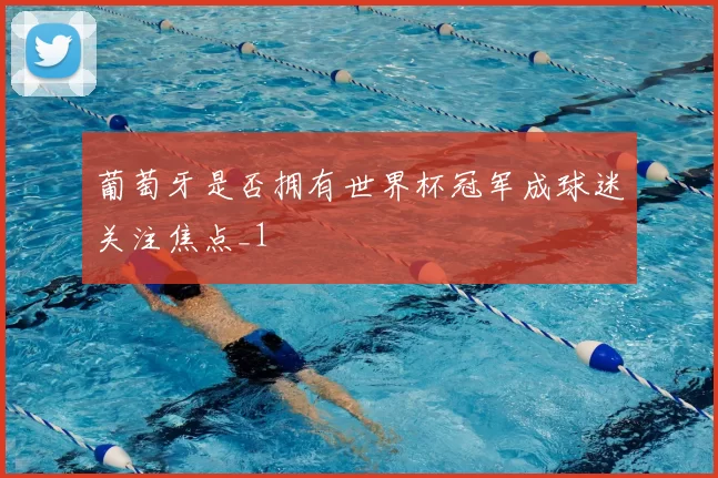 葡萄牙是否拥有世界杯冠军成球迷关注焦点_1