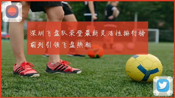 深圳飞盘队荣登最新灵活性排行榜前列引领飞盘热潮