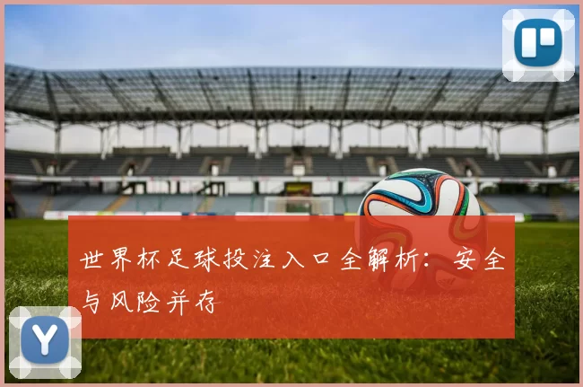 世界杯足球投注入口全解析:安全与风险并存
