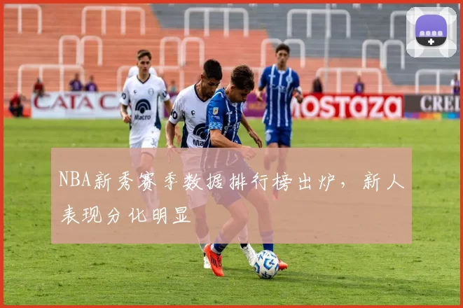 NBA新秀赛季数据排行榜出炉，新人表现分化明显