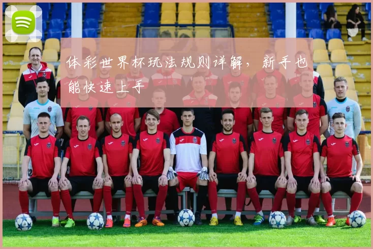 体彩世界杯玩法规则详解,新手也能快速上手