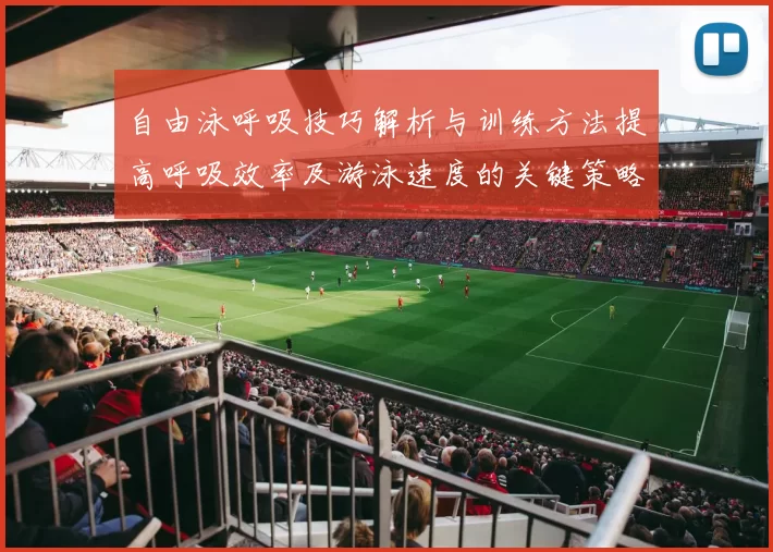 自由泳呼吸技巧解析与训练方法提高呼吸效率及游泳速度的关键策略