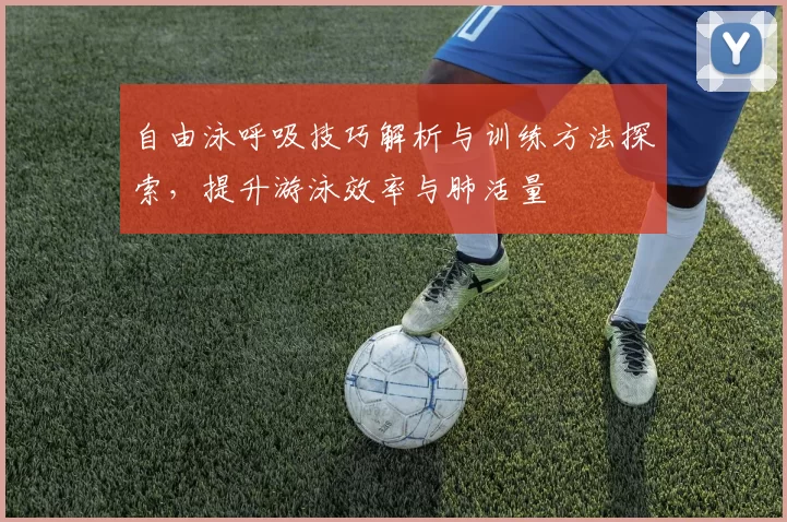 自由泳呼吸技巧解析与训练方法探索,提升游泳效率与肺活量