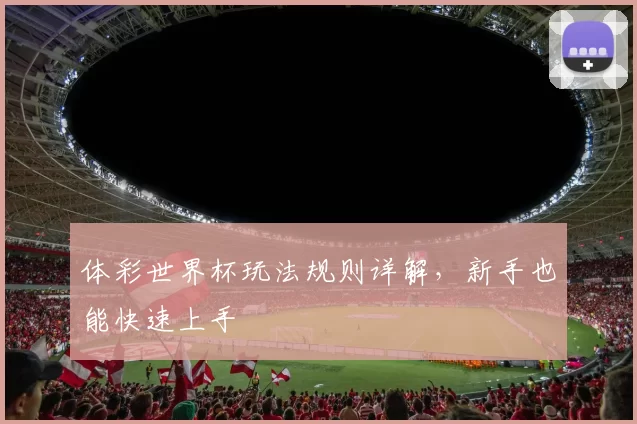 体彩世界杯玩法规则详解,新手也能快速上手