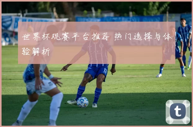 世界杯观赛平台推荐 热门选择与体验解析