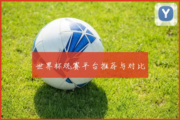 世界杯观赛平台推荐与对比