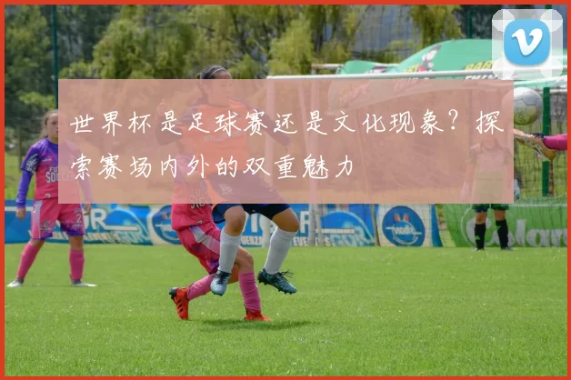 世界杯是足球赛还是文化现象?探索赛场内外的双重魅力
