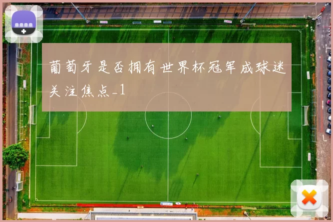 葡萄牙是否拥有世界杯冠军成球迷关注焦点_1