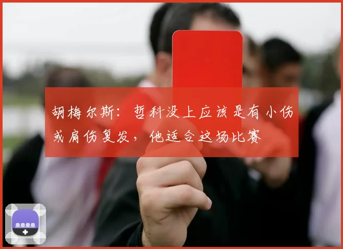胡梅尔斯：哲科没上应该是有小伤或肩伤复发，他适合这场比赛
