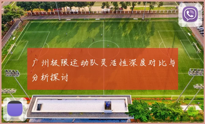 广州极限运动队灵活性深度对比与分析探讨