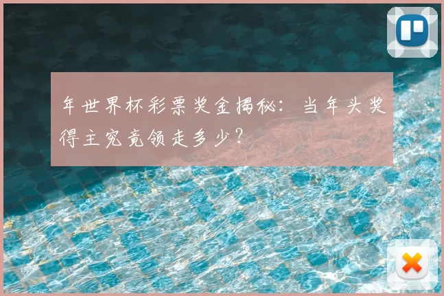 年世界杯彩票奖金揭秘:当年头奖得主究竟领走多少?