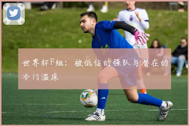 世界杯F组:被低估的强队与潜在的冷门温床