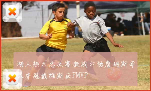 湖人热火总决赛激战六场詹姆斯率队夺冠戴维斯获FMVP