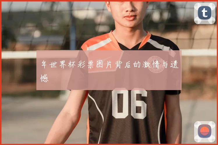 年世界杯彩票图片背后的激情与遗憾
